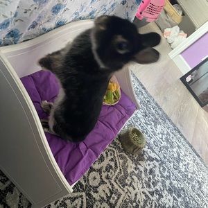 Meet your Posher, Quinn